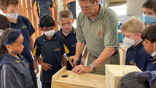 Building bird boxes with local schools