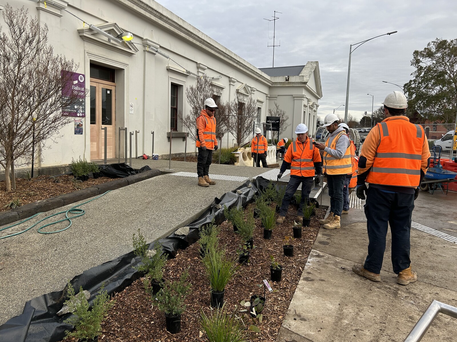 McCallum Landscaping