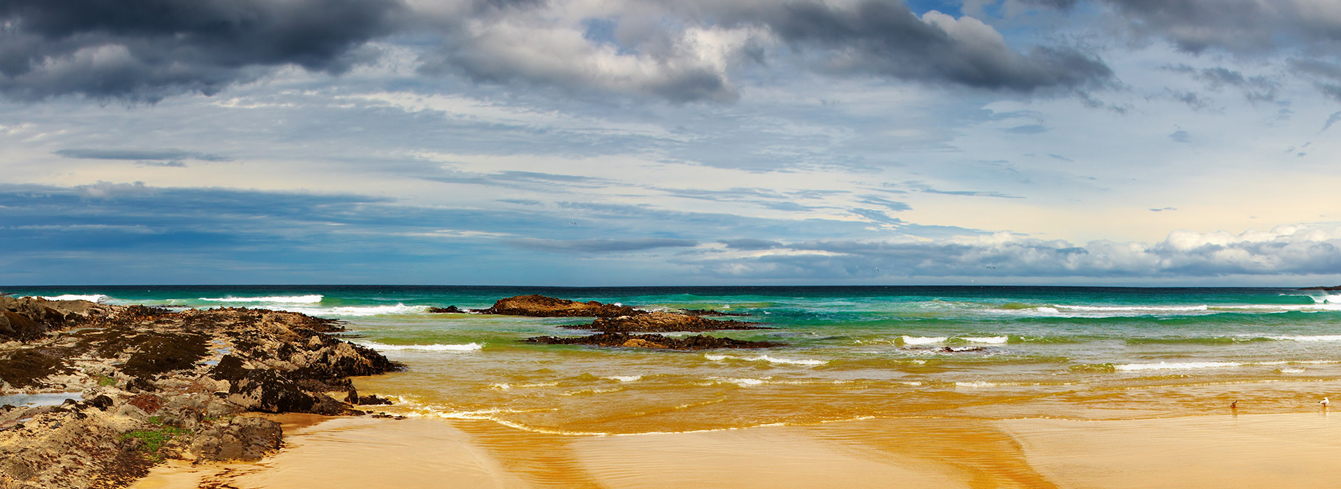 NewZealandCoast