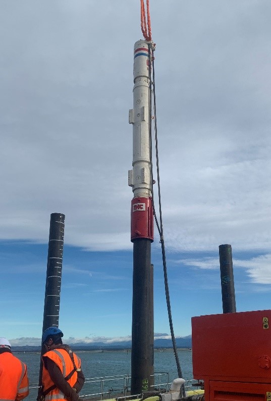 Permanent Tubular Piles Installation starts at Port Nelson Main Wharf Redevelopment. 