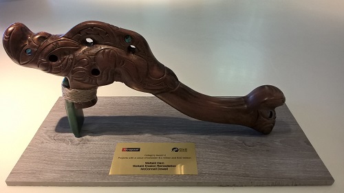 CCNZ 2016 Award trophy