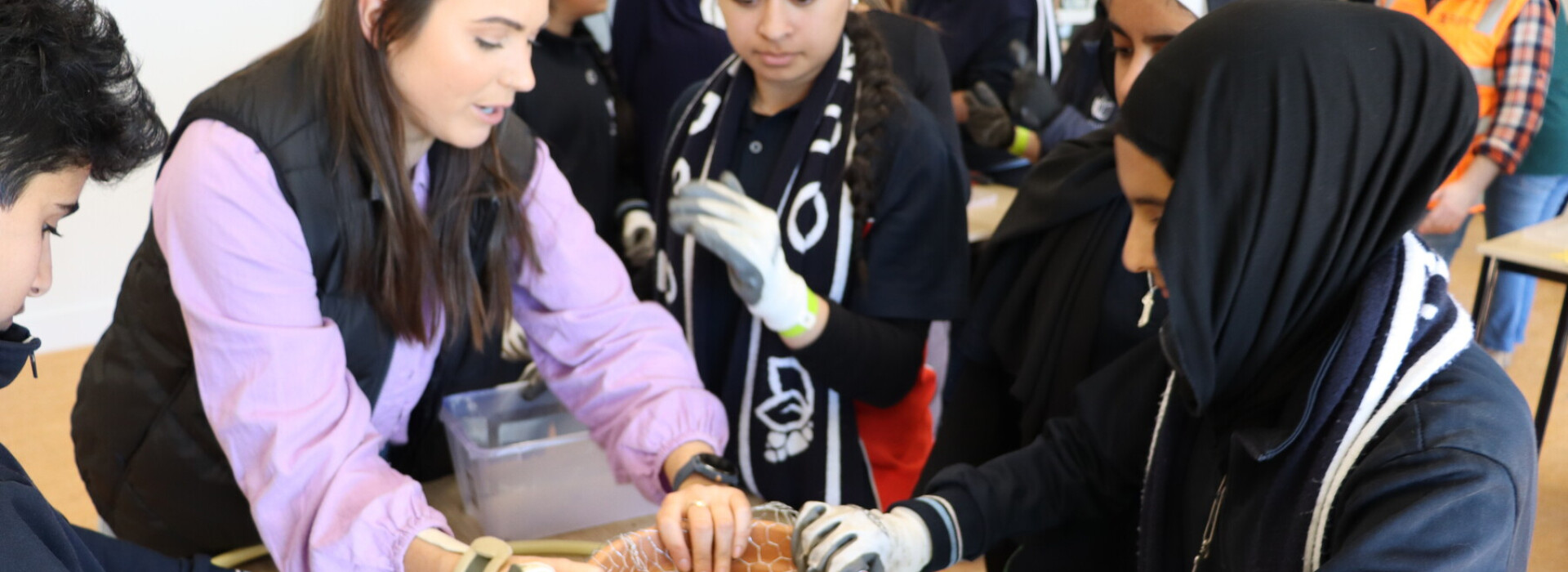 Native bees set for a boost at Wollert Secondary College