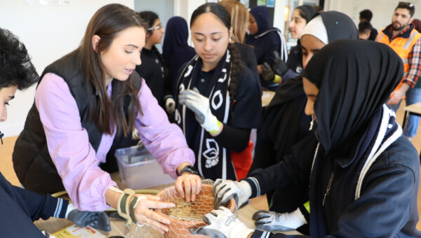 Native bees set for a boost at Wollert Secondary College