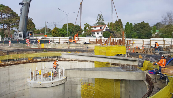 Glen Eden Storage Tank and Branch Sewer