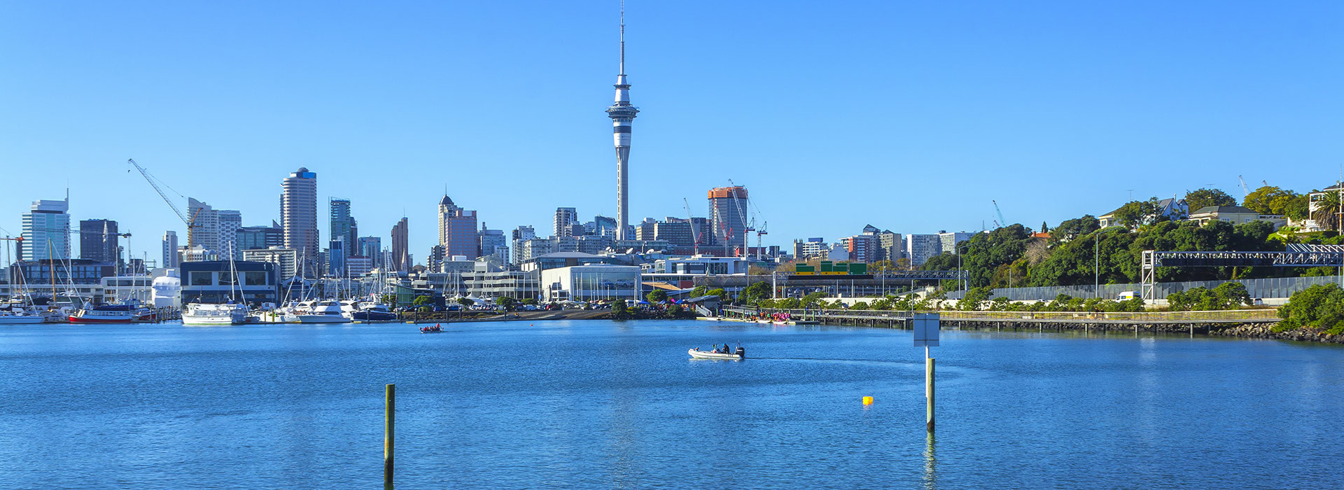 St Marys Bay Water Quality Improvement Project