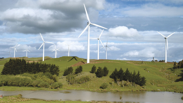 Te Apiti Windfarm