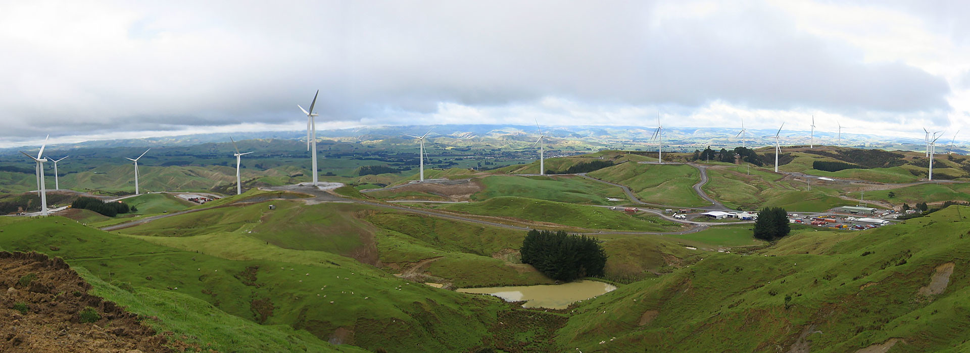 Te Apiti Windfarm