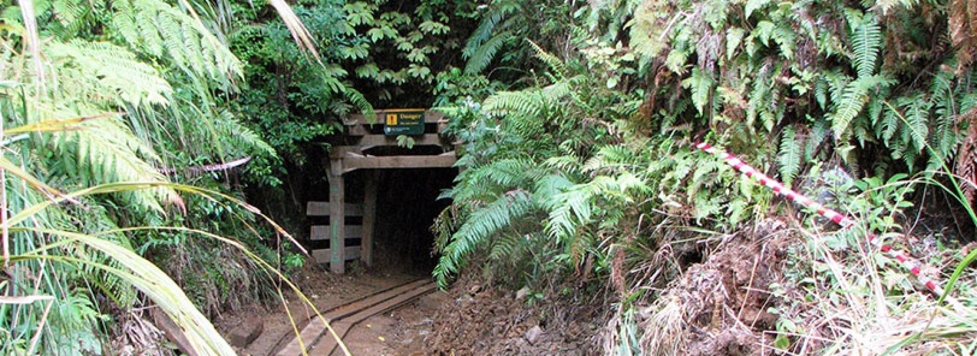 Tui Mine Remedial Works